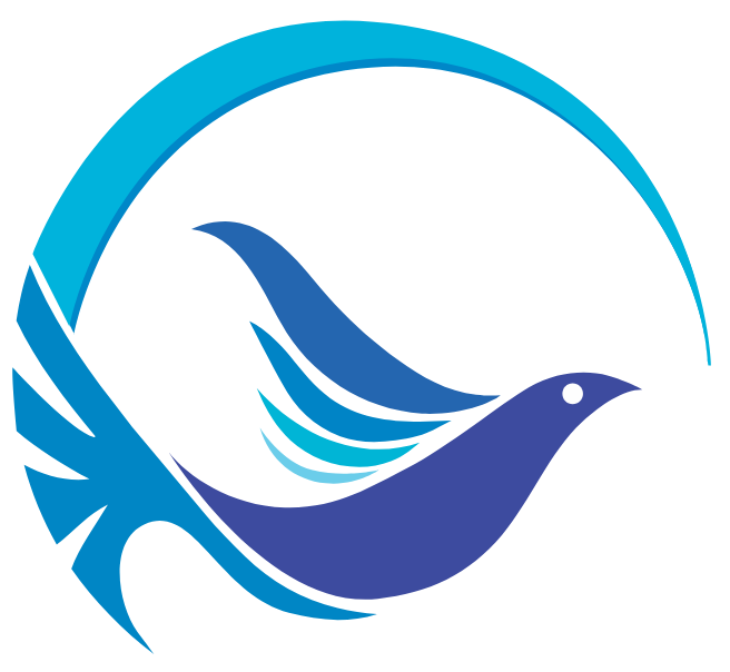 Chapchap Couriers Ltd.